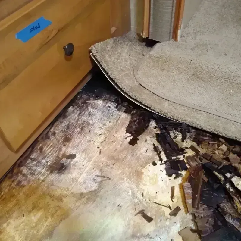 Wood Floor Water Damage in Stafford Springs, CT